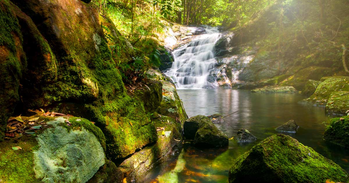 Kondalilla Falls