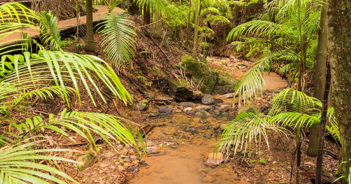 DAguilar National Park 